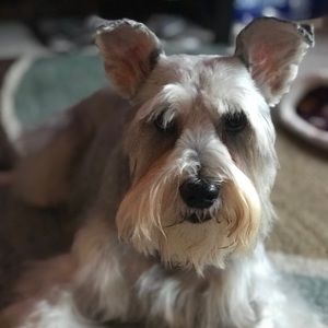 Meet your Posher, Maribel